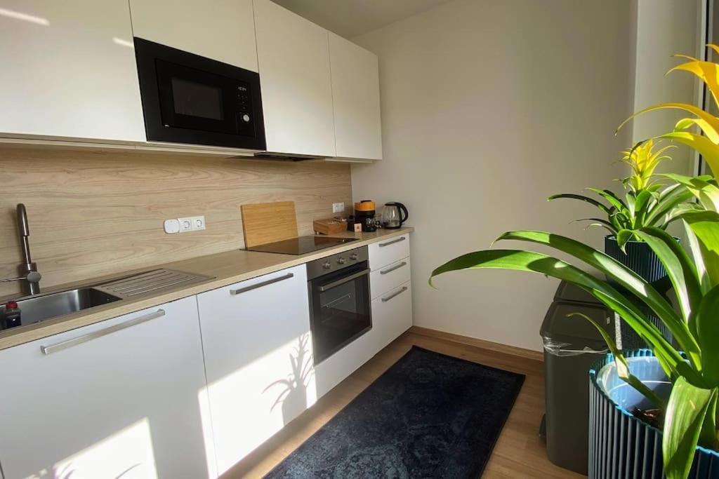 Strahlende Erdgeschoss-Wohnung Im Neubau Naehe Legoland Ichenhausen Kültér fotó